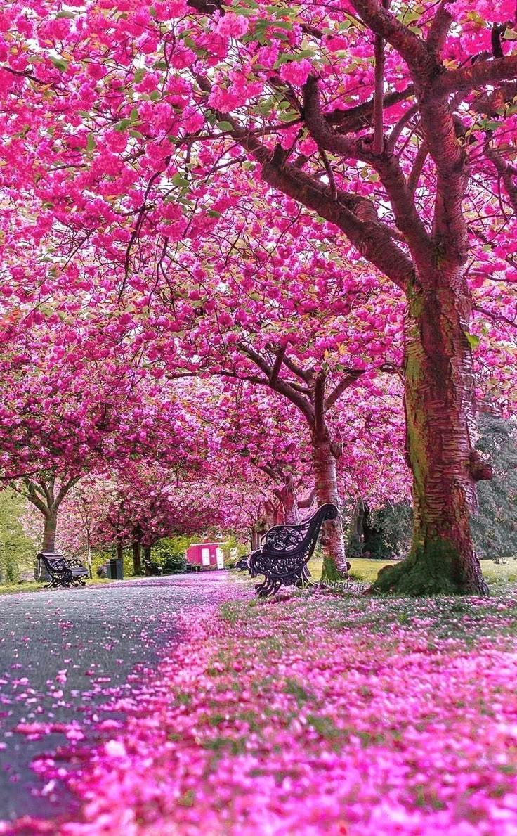 Corporate meeting room with carefully timed floral arrangements that maintain elegance throughout business hours
